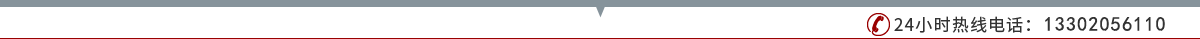 13302056110